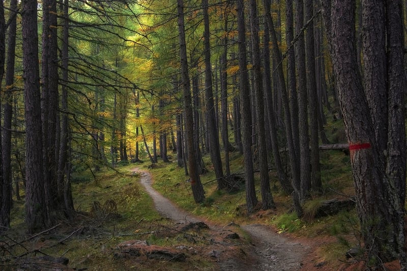 Historical trails
