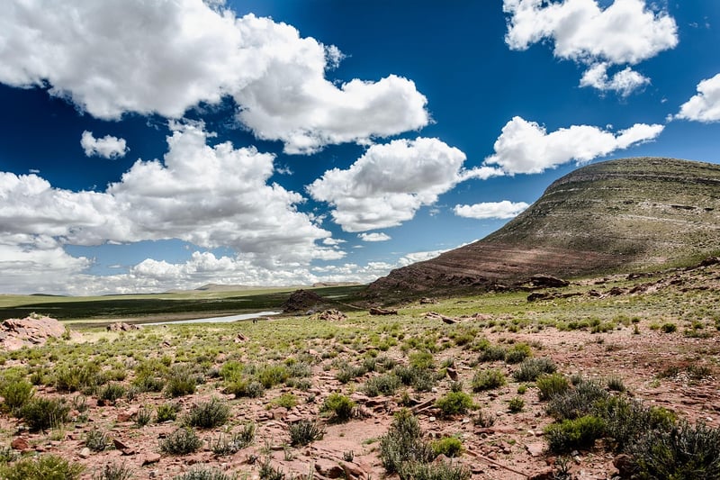 The Wave in Arizona